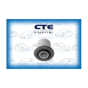 CBH15021 CTE