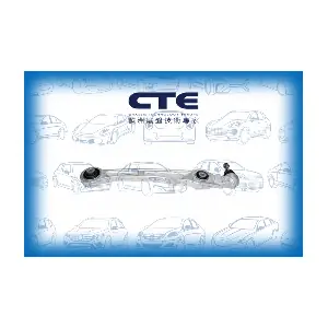 CTE CS-1916