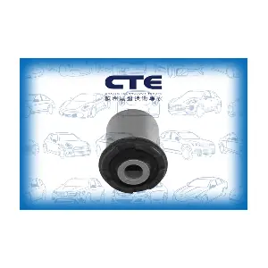 CBH26016 CTE
