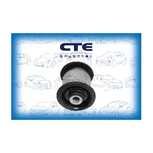 CBH20024 CTE