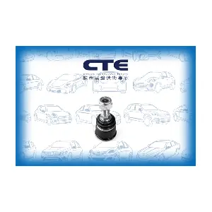 CBJ21004 CTE