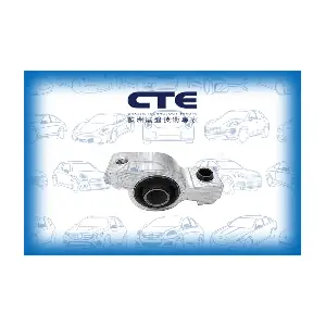CBH16004 CTE