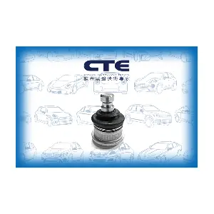 CBJ10005 CTE