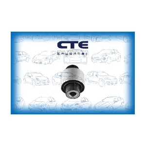 CBH19023 CTE