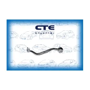 CS-339L CTE