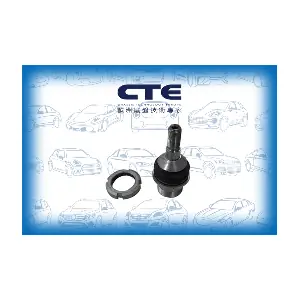 CBJ21010 CTE