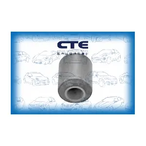 CBH06035 CTE