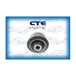 CBH01039 CTE