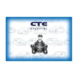 CBJ02011 CTE