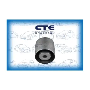 CBH31010 CTE