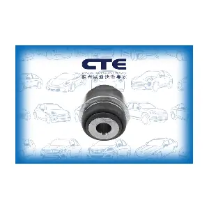 CBH09044 CTE