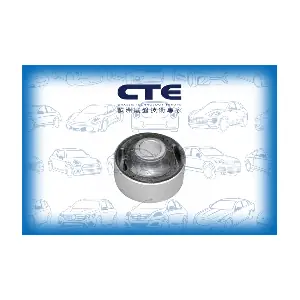 CBH20004 CTE