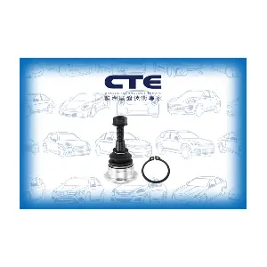 CBJ31008 CTE