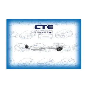 CS2143L CTE