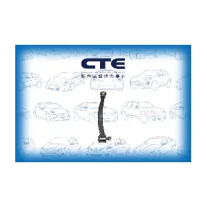 CTE CSL21005
