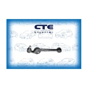 CS308L CTE