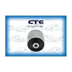 CBH09047 CTE