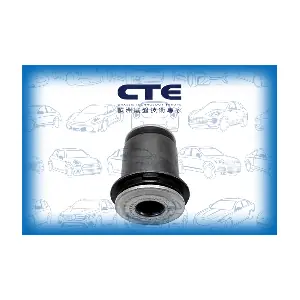 CBH02063 CTE