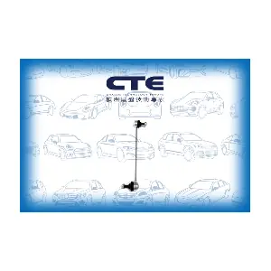 CTE CSL17019
