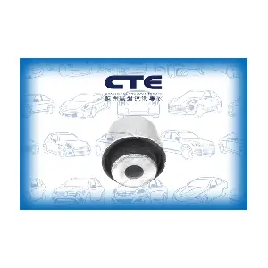 CBH21034 CTE