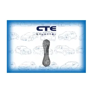 CTE CSL20013