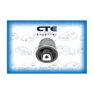 CBH09049 CTE