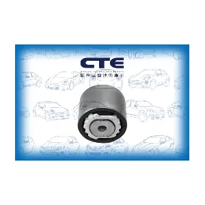 CBH32004 CTE