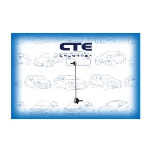 CTE CSL31011