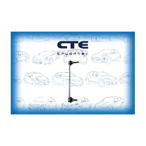 CTE CSL09024