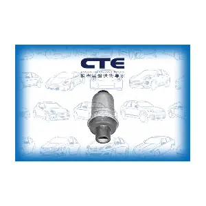 CBH04006 CTE