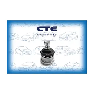 CBJ10008 CTE