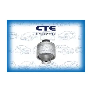 CBH19002 CTE