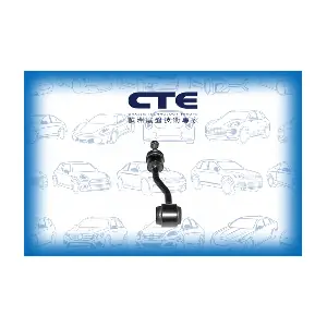 CSL24013 CTE