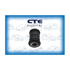 CBH03081 CTE