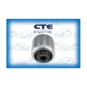 CBH09046 CTE