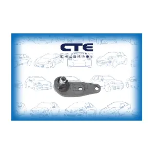 CTE CBJ19004