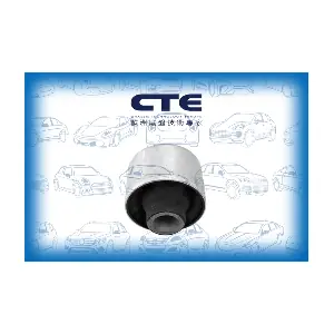 CBH21024 CTE