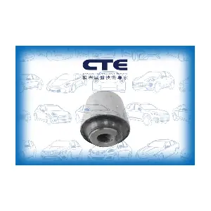 CBH10002 CTE