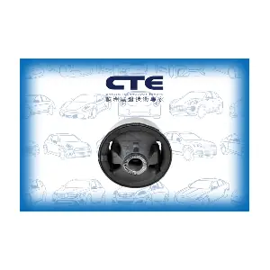 CBH02027 CTE