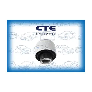 CBH21020 CTE