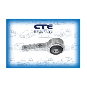 CBH06041 CTE