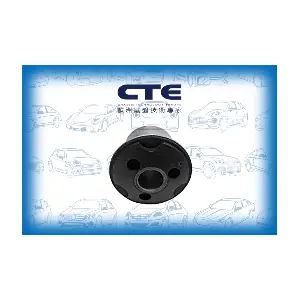 CBH16017 CTE