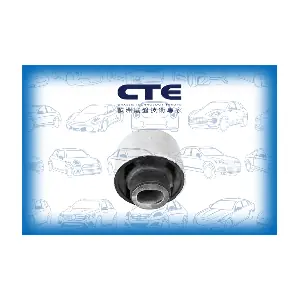 CBH21021 CTE