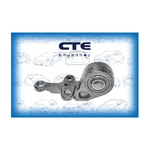 CBH06032 CTE