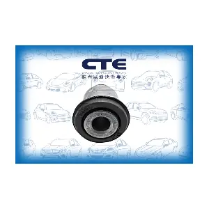 CBH16016 CTE