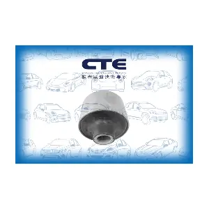 CBH03055 CTE