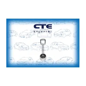 CTE CSL09011