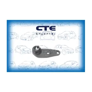 CBJ19002 CTE