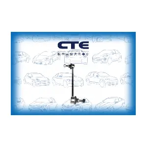 CSL11003 CTE