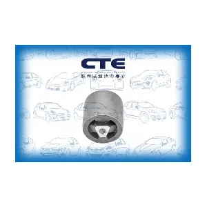 CBH09016 CTE